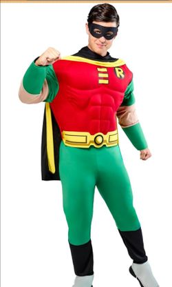 Adult robin costume