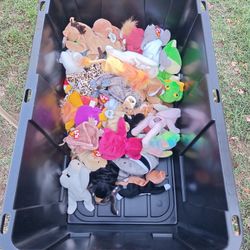 Teeny Babies Teenie Beanie Babies