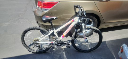 Bicycle Mountain 24 In