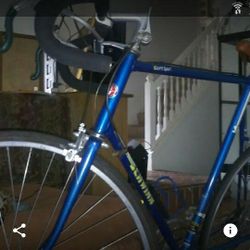 Late vintage Schwinn World sport touring Edition Chicago