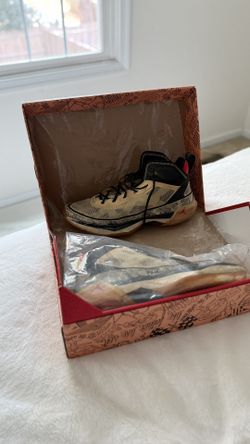 Jordan’s XIVV Shoes
