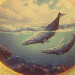 Traveler Of The .  Sea