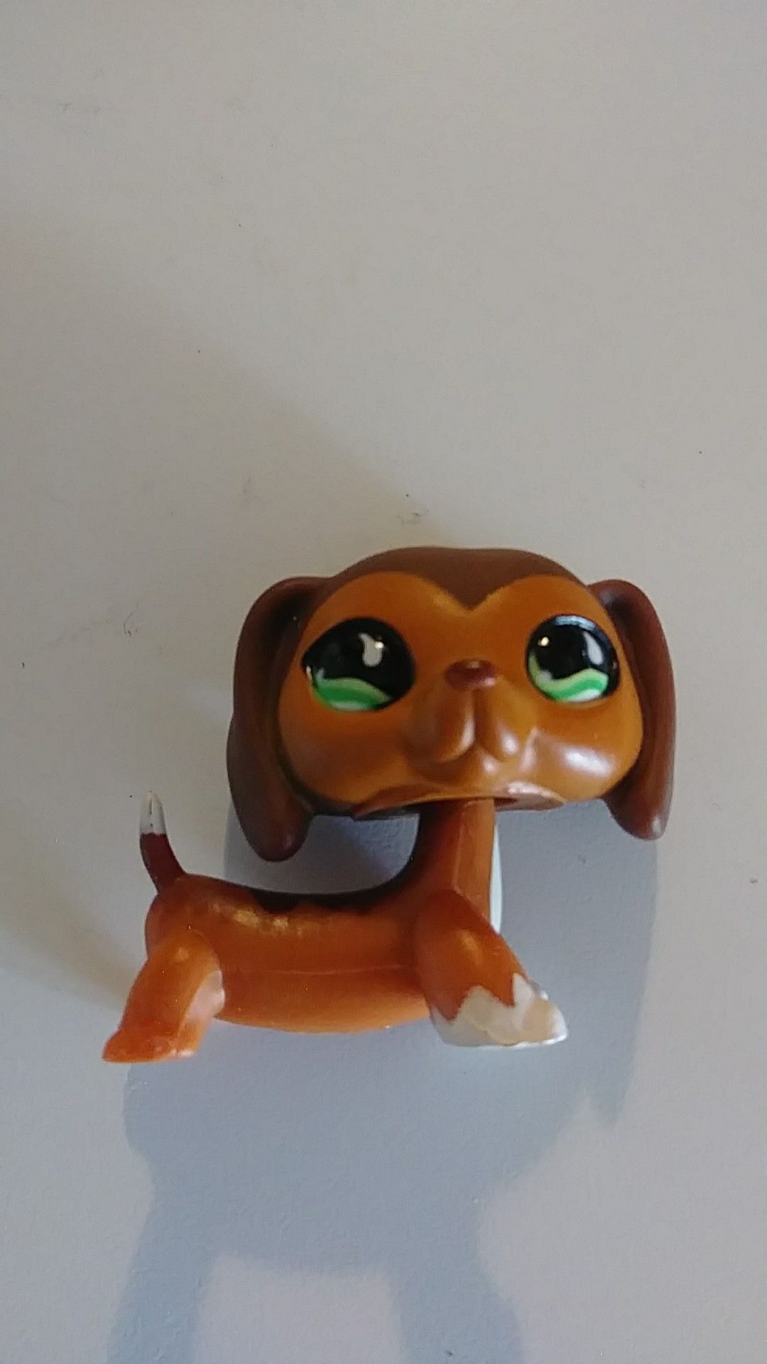 Littlest Pet Shop!! Rare Savannah aka Savvy!!
