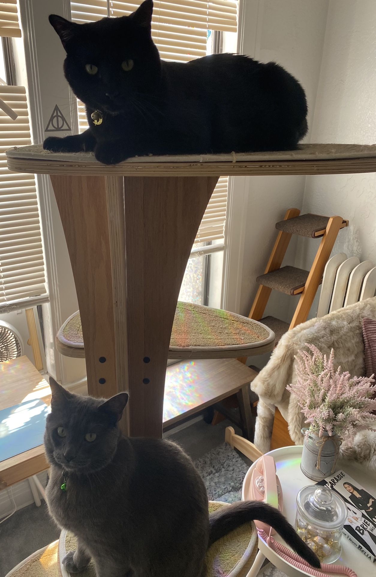 Cat Tree