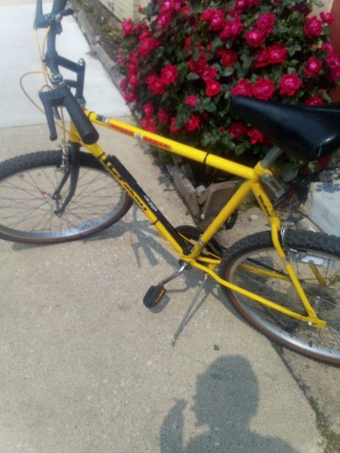 New Bike
