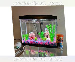 Complete Aquarium System - Jump into Water World Beauty hear manager