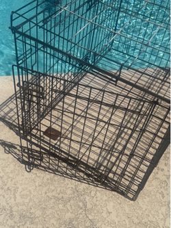Crate for big dog