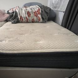 2 Twin Mattresses + 2 Box Springs.