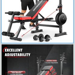 Work Out / Weight Bench