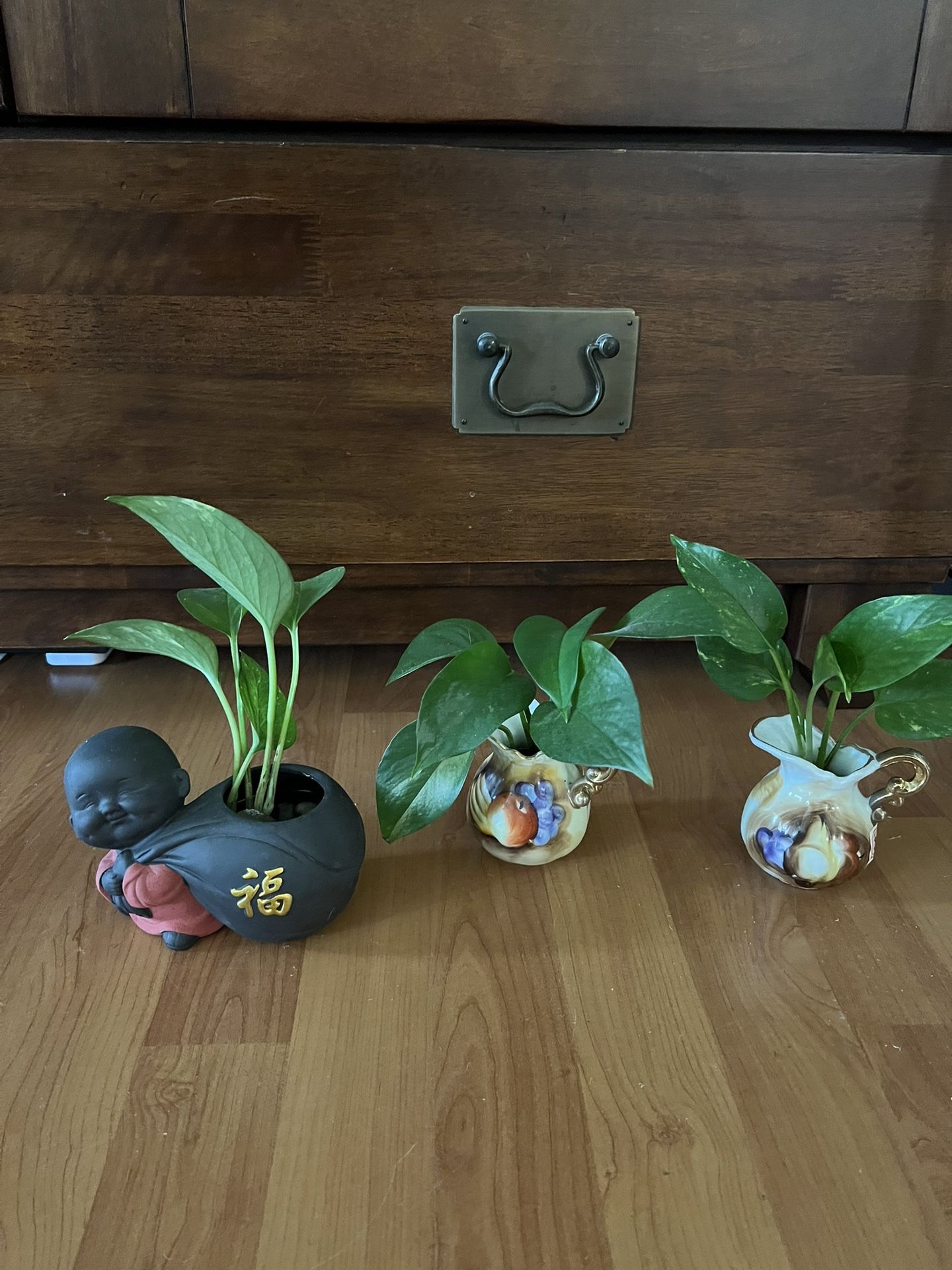 3 decoration pots / w Plants