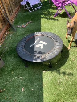 Trampoline