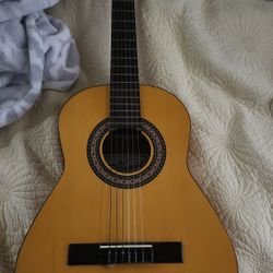 Acoustic Guitar