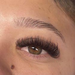 Lashed 