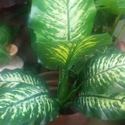 New Artificial Silk Tree's Looks Real High Quality Masterpiece 40 Each Or 75 For Both Looks Real 