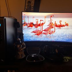 Dell Gaming Monitor