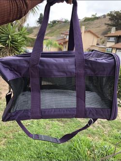 Dog Handbag