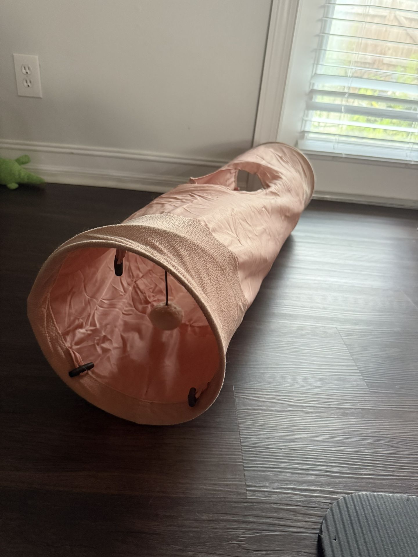 Cat Tunnel