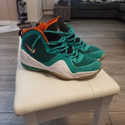 Penny V Miami Dolphins