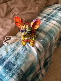 Chihuahua light