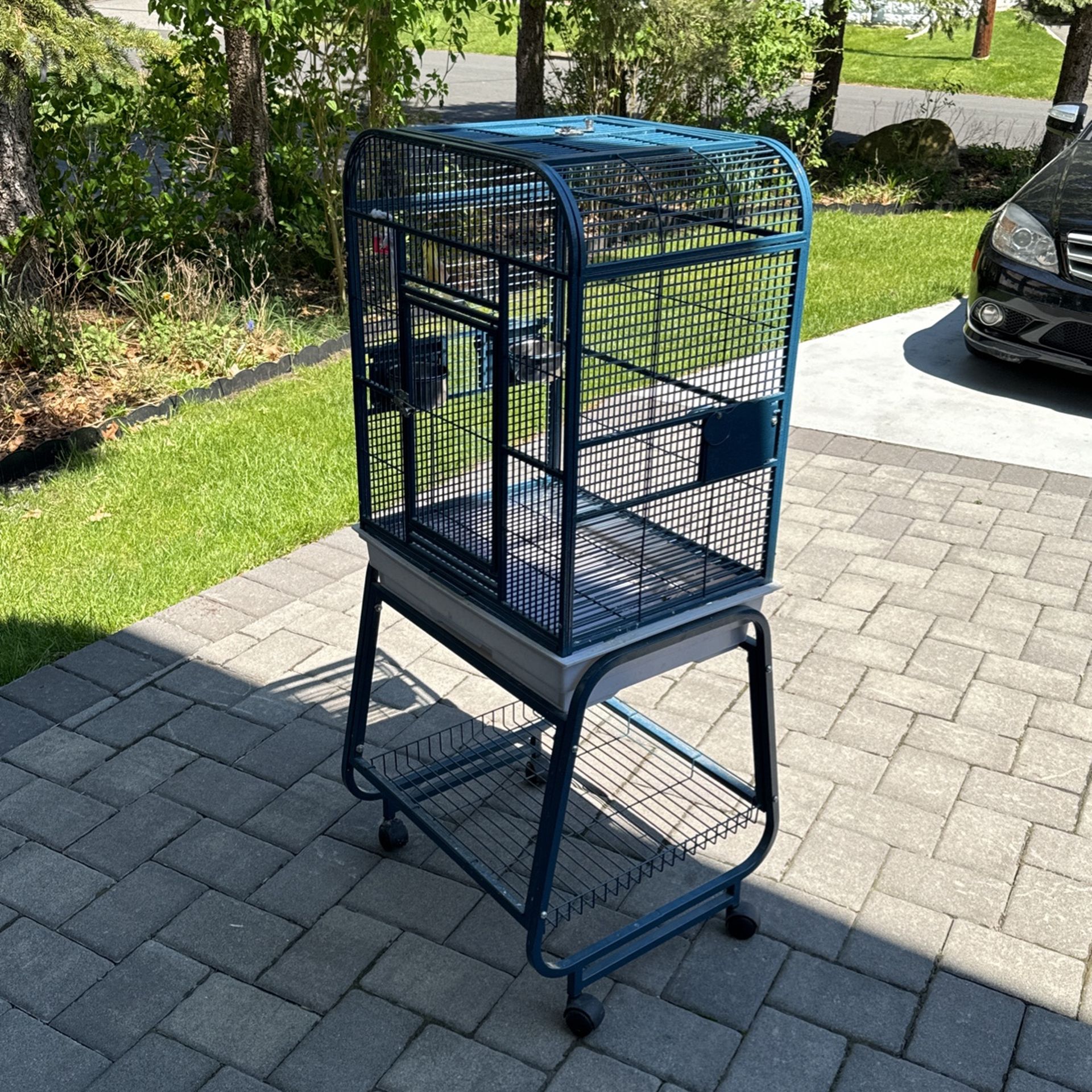 Bird Cage
