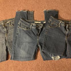 Bundle of Levi / Mossimo Straight Leg Jeans - Sz 8