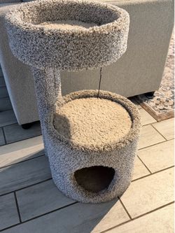 Cat house