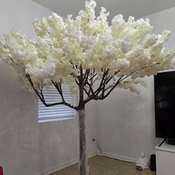 Cherry Blossom Tree