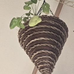 2 Matching Hanging House Plants 