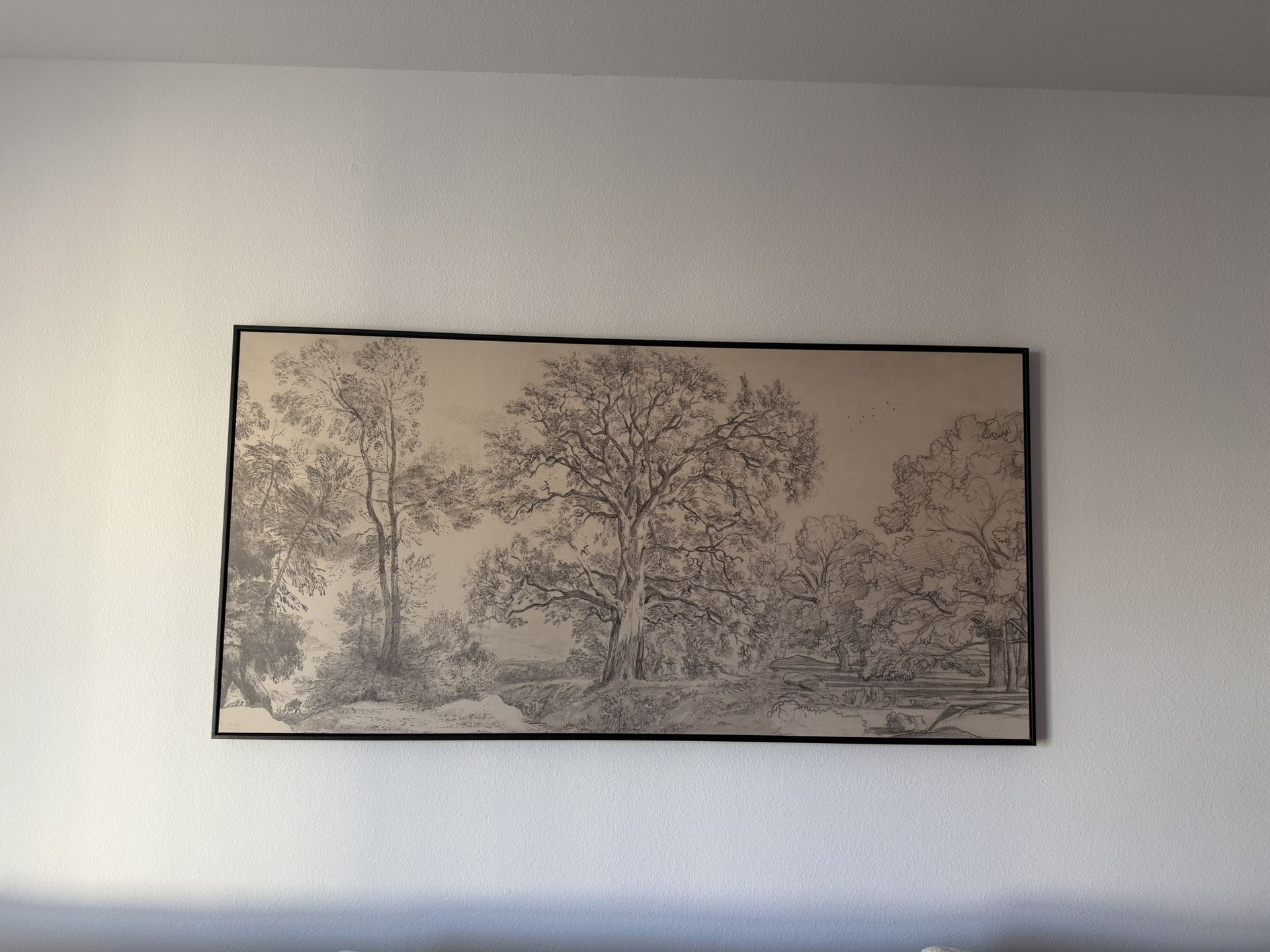30x60 Modern Framed Art