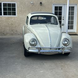 1962 Volkswagen Beetle