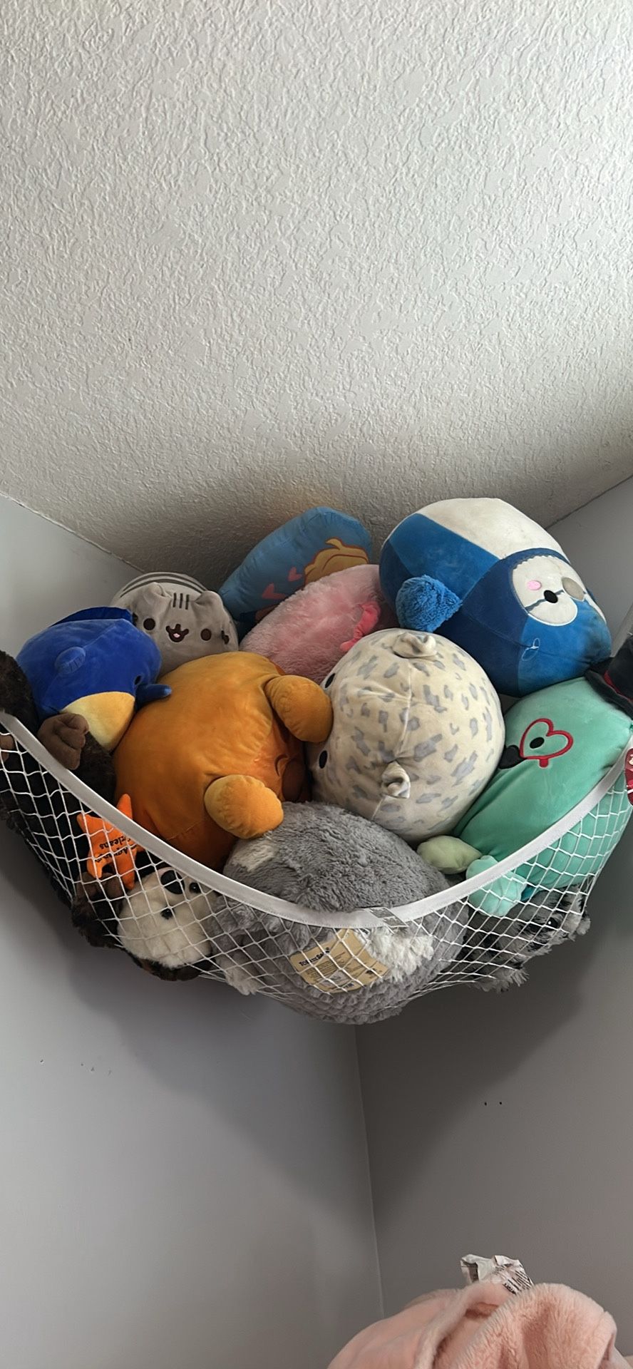PLUSHIES GOT TO GO!!
