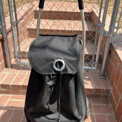Carro Con Ruedas Para Hacer Compras