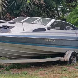 Bayliner For Sale