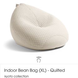 Bean Bag Chair (Lujo)