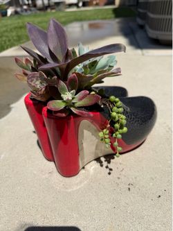 Heel succulent planter
