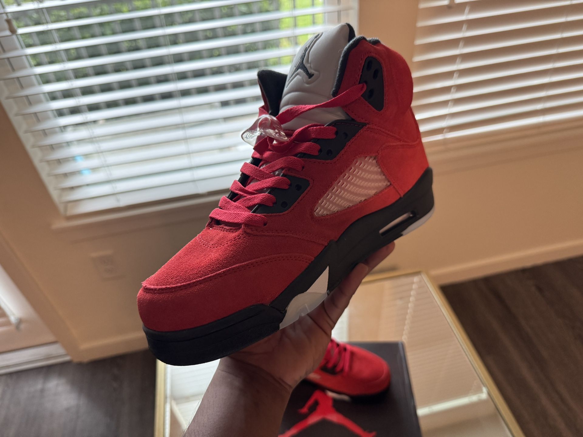 Air Jordan 5 Raging Bull