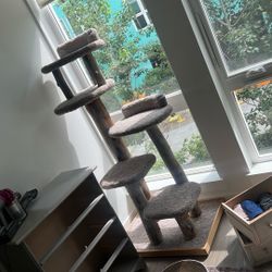 Large Cat tree
