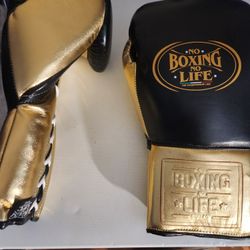 16 Oz Boxing  Gloves  With  Free  Hand Wraps Included