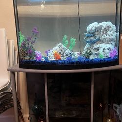 Fish Tank. And Stand