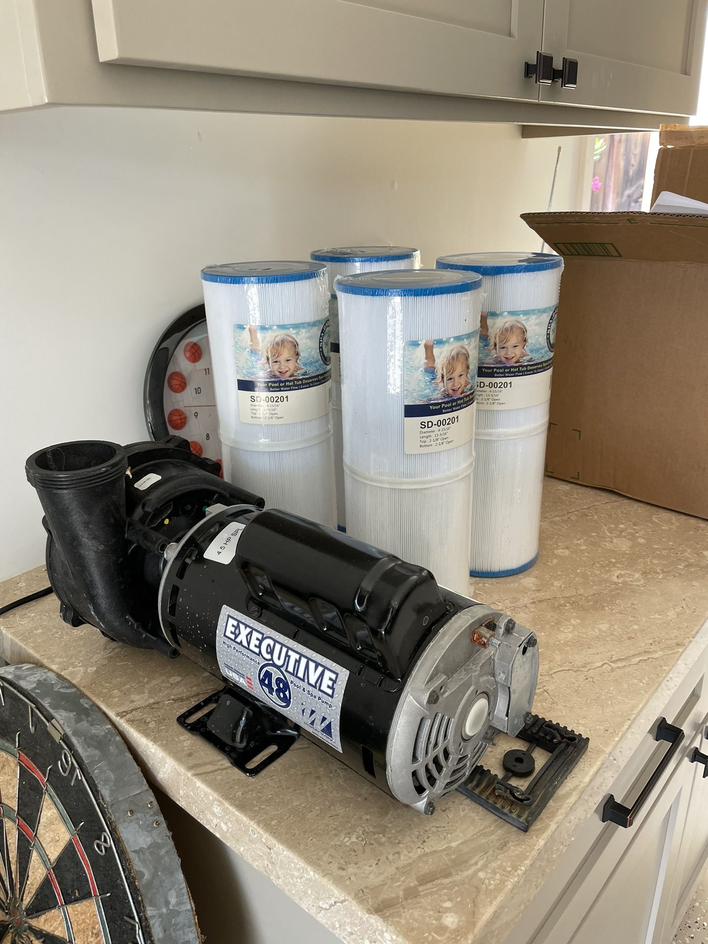 Hot Tub Pump (waterway Executive 48) And Filters