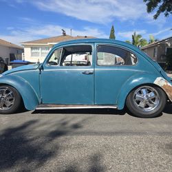 1965 VW Bug