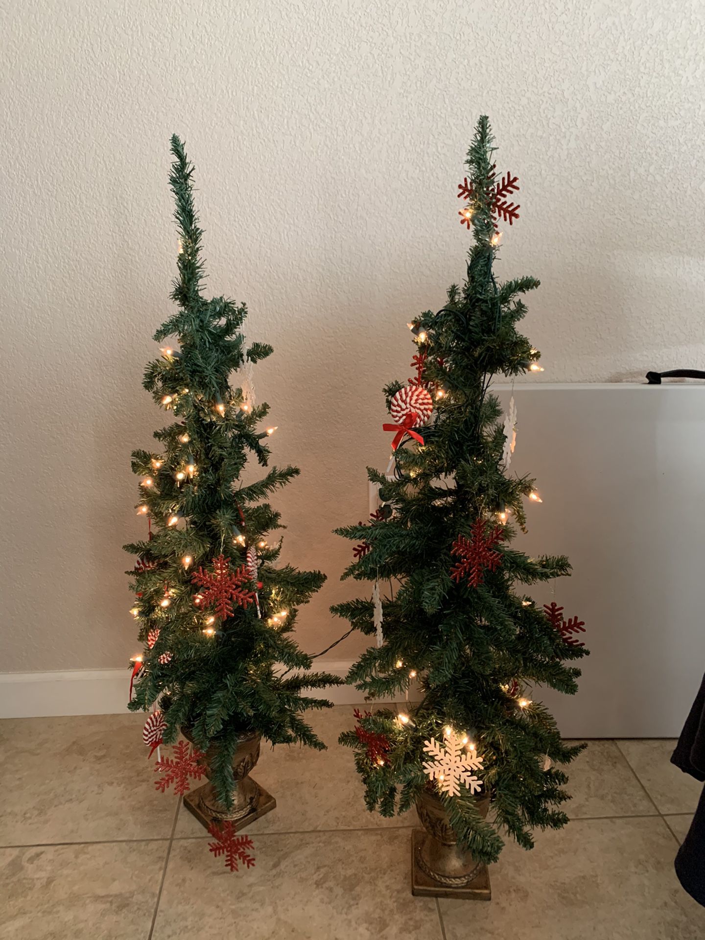 Small Christmas trees
