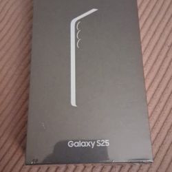 Samsung Galaxy S25