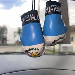 Guatemala Mini Car Boxing Gloves 