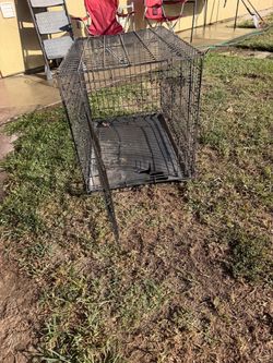 Black Wire Dog Crate with Tray