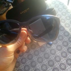 COACH Women's Sunglasses 