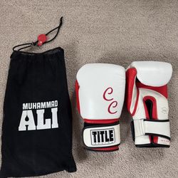 TITLE Boxing Pro Style Leather Training Boxing Gloves