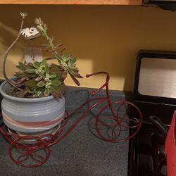 Bicycle Pot Holder & Succulent Included 