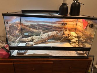 Reptile terrarium