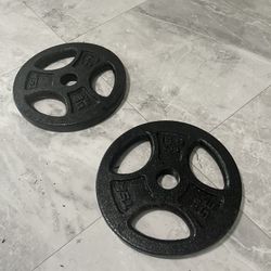Pair Of 35lb Olympic Weights Plates Total 70lb